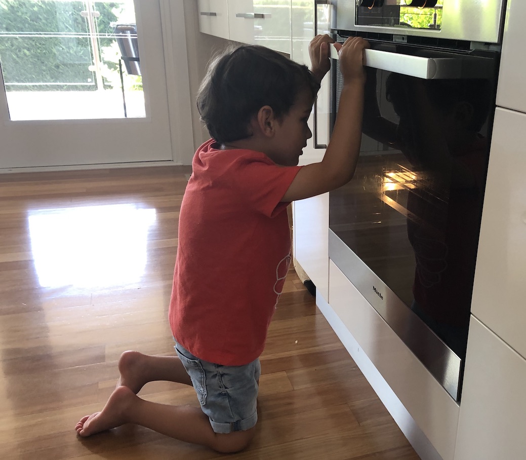 Pedro waiting for cookies